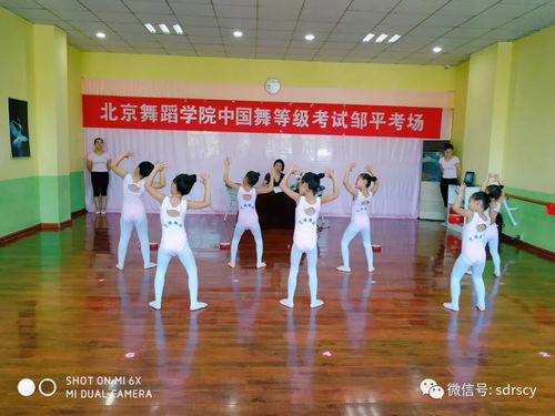 舞動少年夢，藝考新篇章——北京舞蹈學院教材少兒舞蹈考級鄒平站順利推進