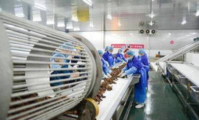 科技賦能鮮味體驗(yàn) 每日優(yōu)鮮小龍蝦節(jié)開啟，超聲技術(shù)驅(qū)動生鮮開發(fā)新篇章